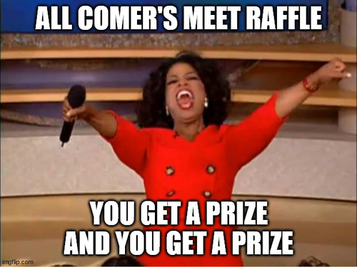 All Comer's Meet this Sunday's Image