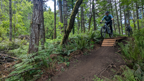 Thurston Hills Closing to MTBing this weekend's Primary Image