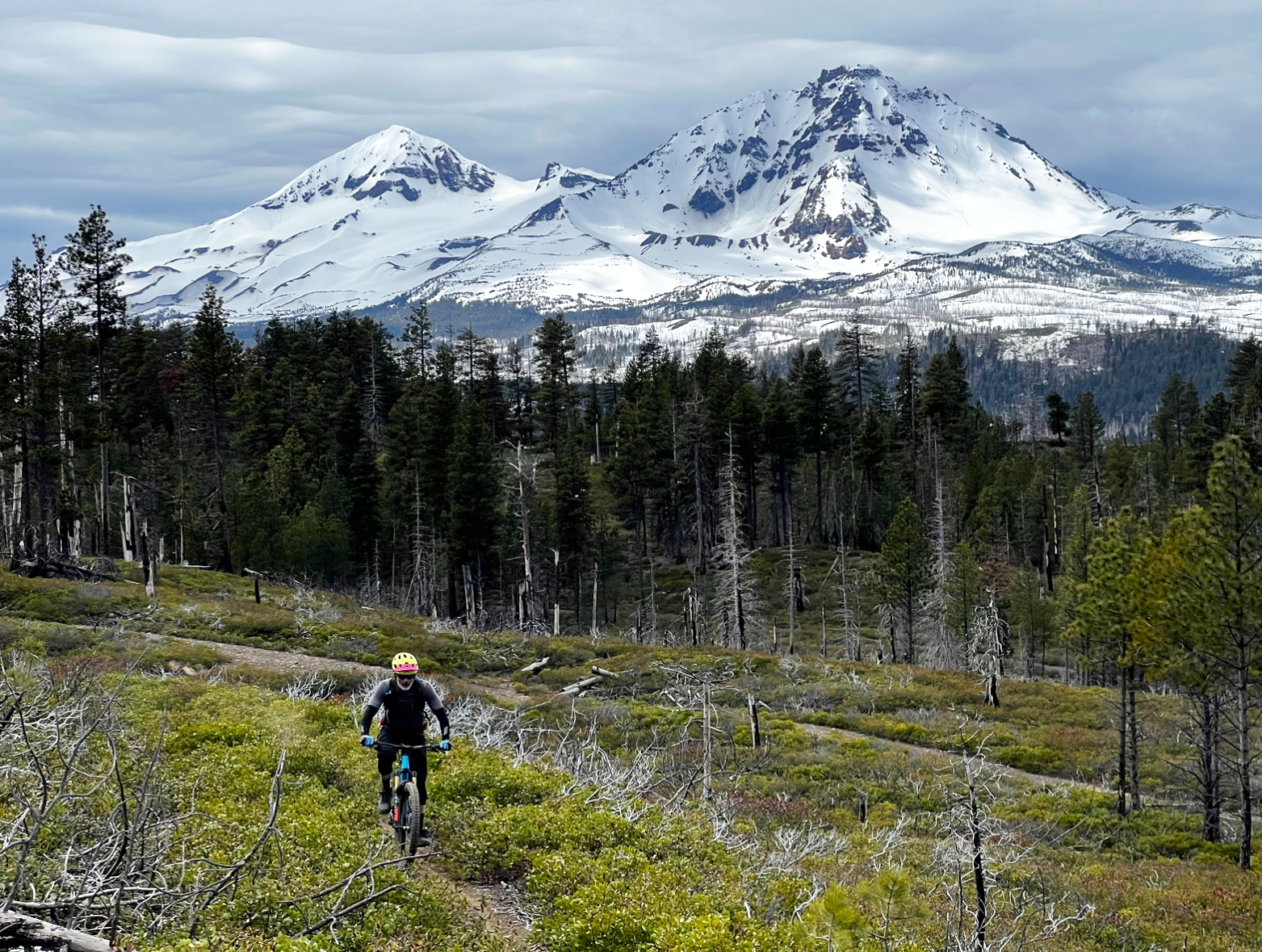 Hero image of Three Sisters Wilderness area.