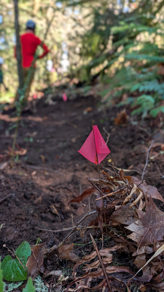 Whypass Tune Up on March 21st's Image